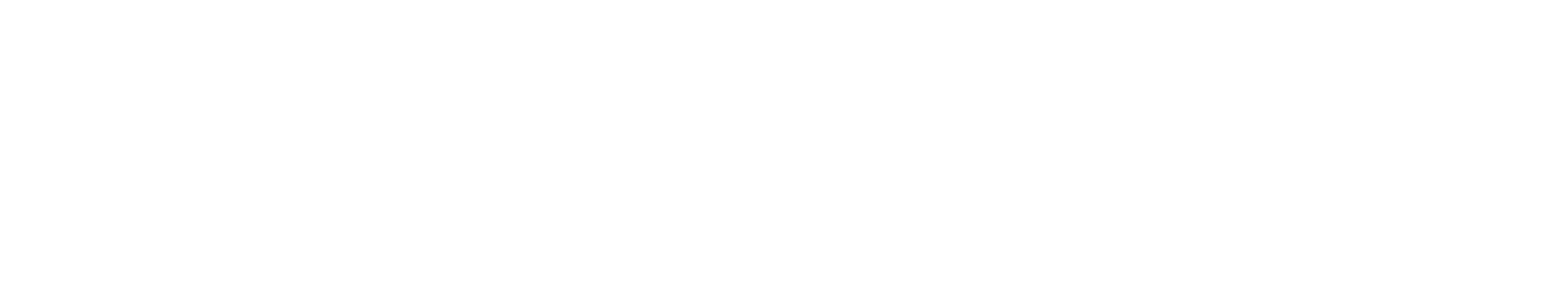 Euro Investment Holding